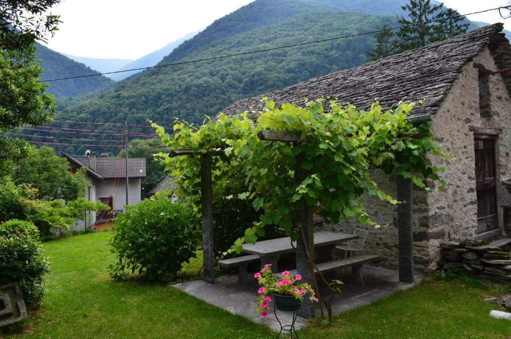 Hotel Garni Maggia Giumaglio Εξωτερικό φωτογραφία